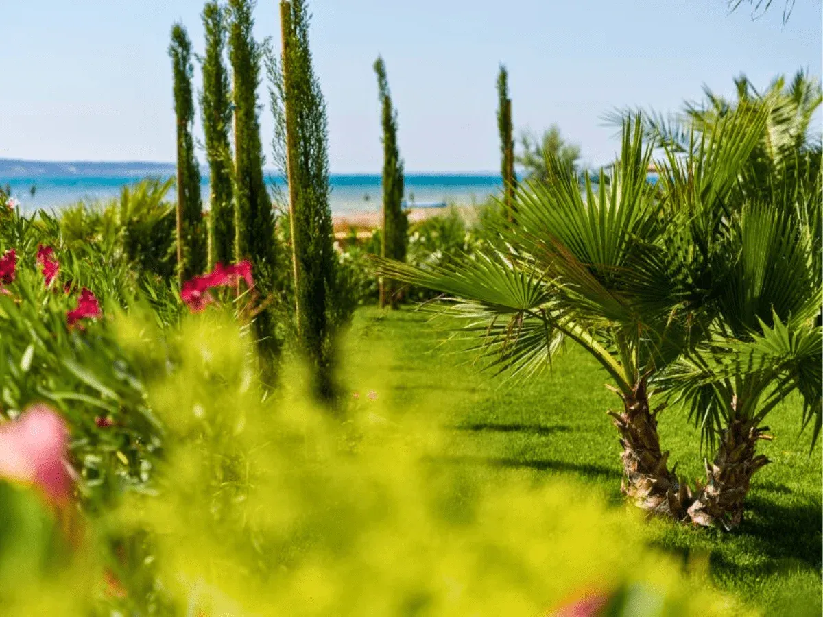 Elegantna vrtna staza s raznolikim mediteranskim biljkama i pažljivim uređenjem