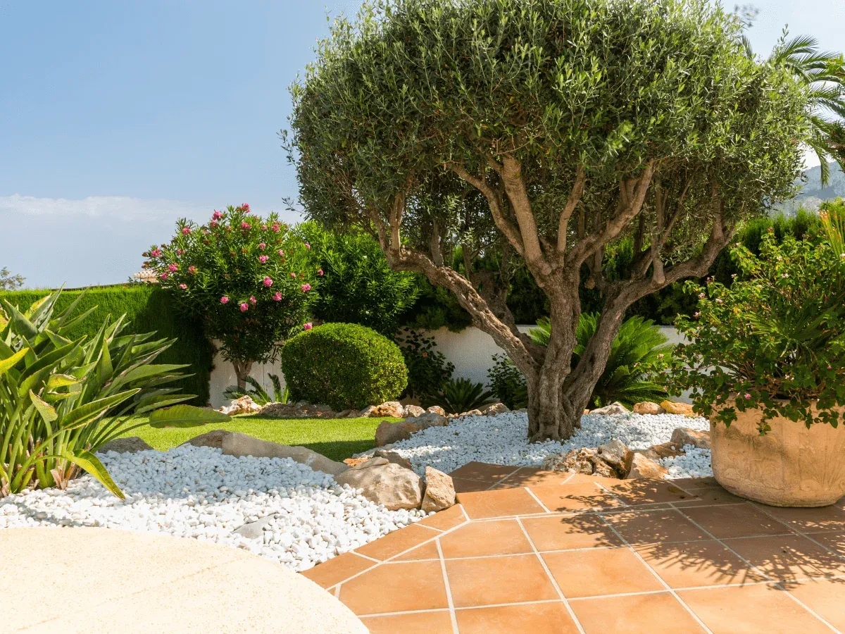 Suvremeni dizajn vrta s modernim elementima uređenja krajobraza i autohtonom mediteranskom florom