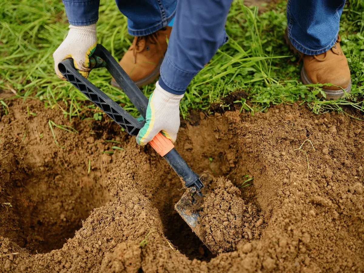 Stručni vrtlar održava pedantno dizajniran vanjski prostor