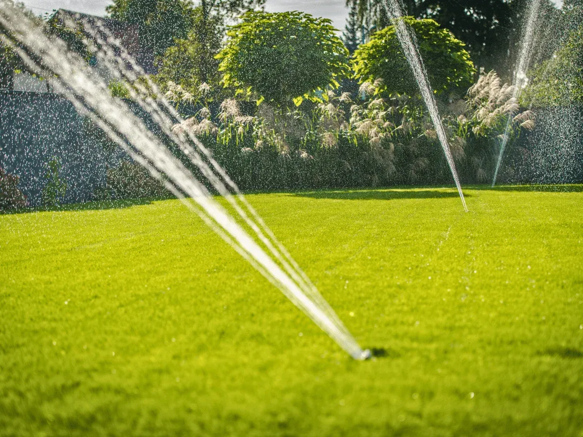 Elegantna vrtna staza s raznolikim mediteranskim biljkama i pažljivim uređenjem