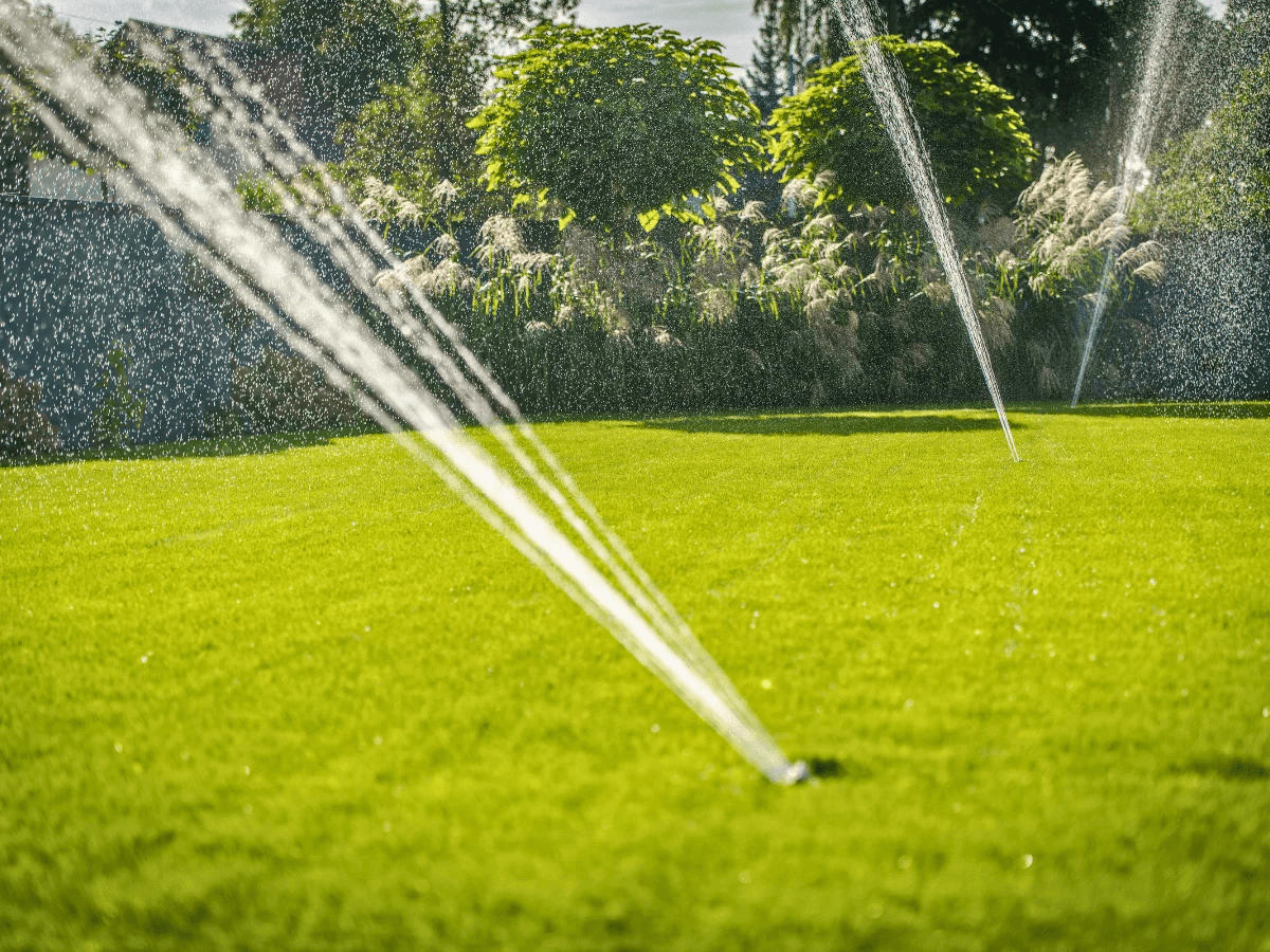 Elegantna vrtna staza s raznolikim mediteranskim biljkama i pažljivim uređenjem